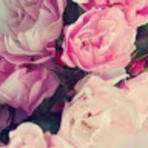 Meet your Posher, Shelby